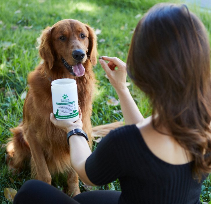 Doggie Dailies Supplements For Dogs To Support Pet Health
