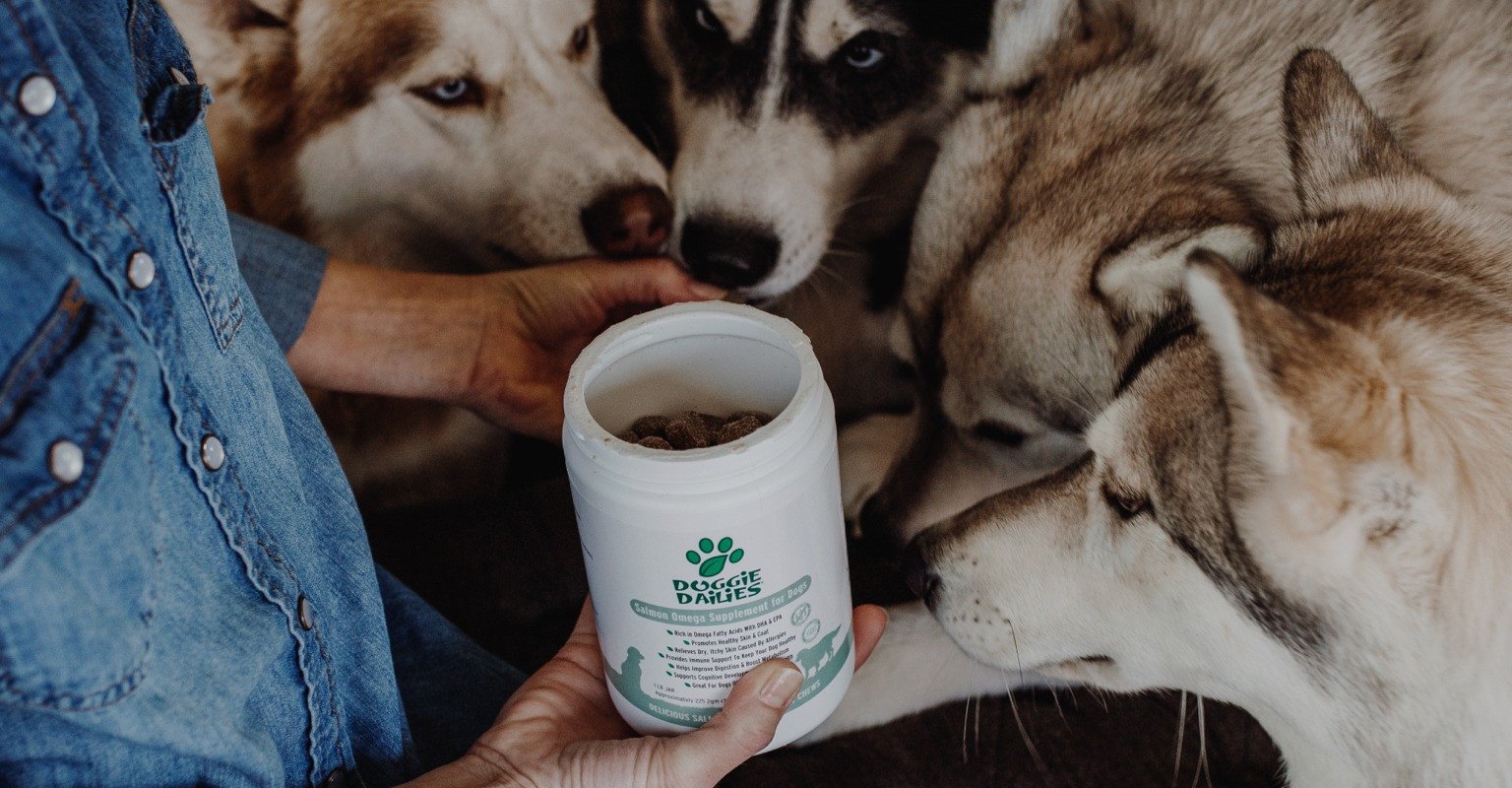 Where To Buy Dog Supplements Doggie Dailies